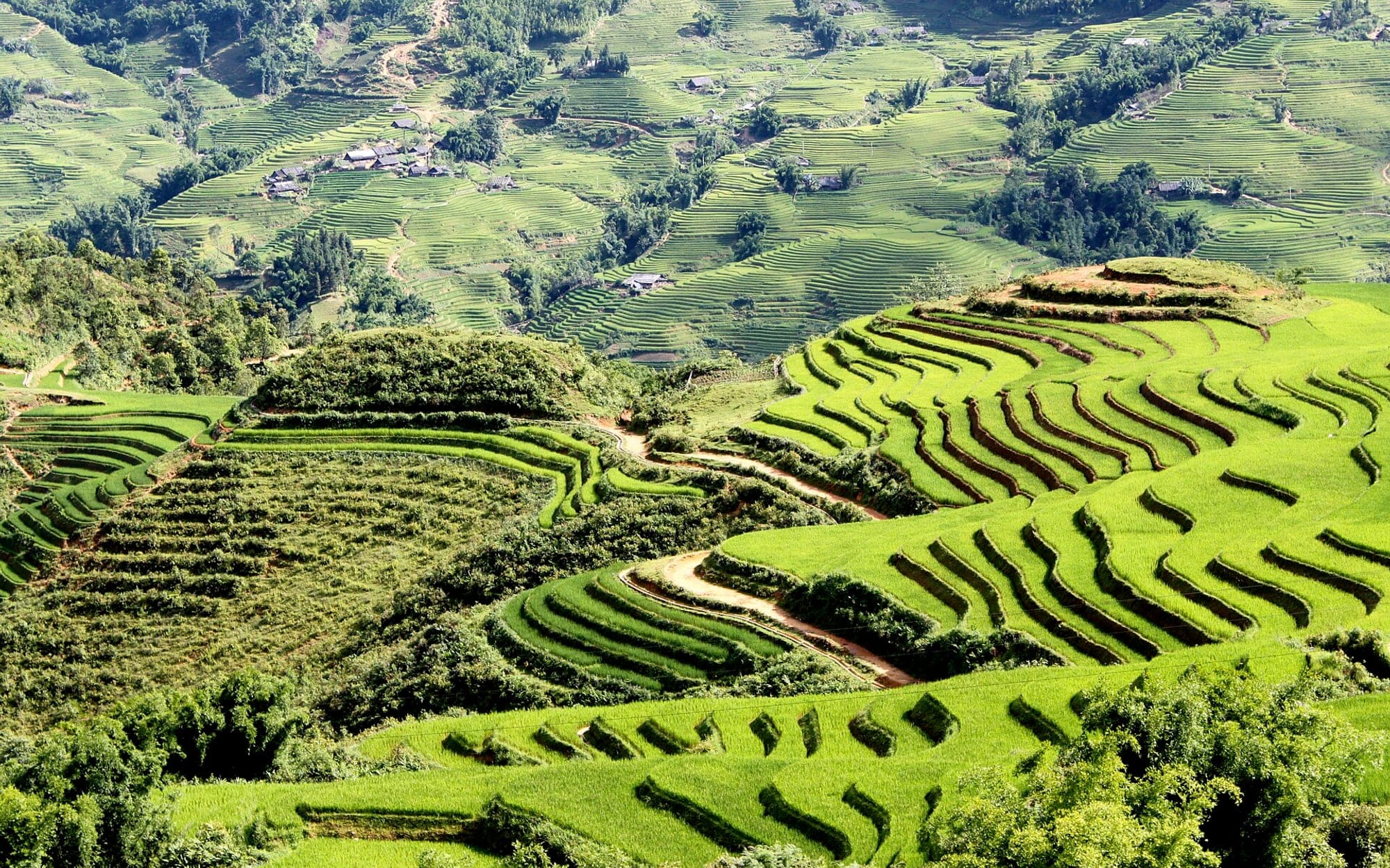 Cultivated farmland planted in strips under an open sky