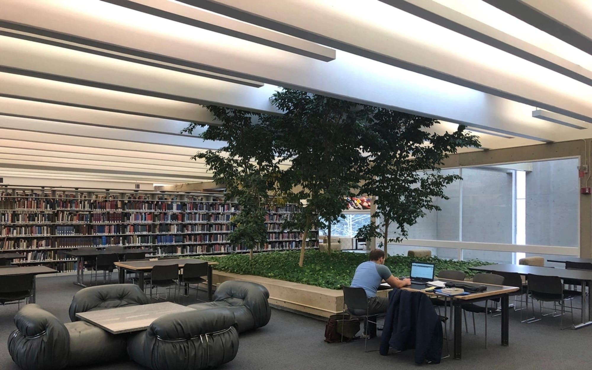 Open-plan workspace with bookshelves, seating and someone at a laptop