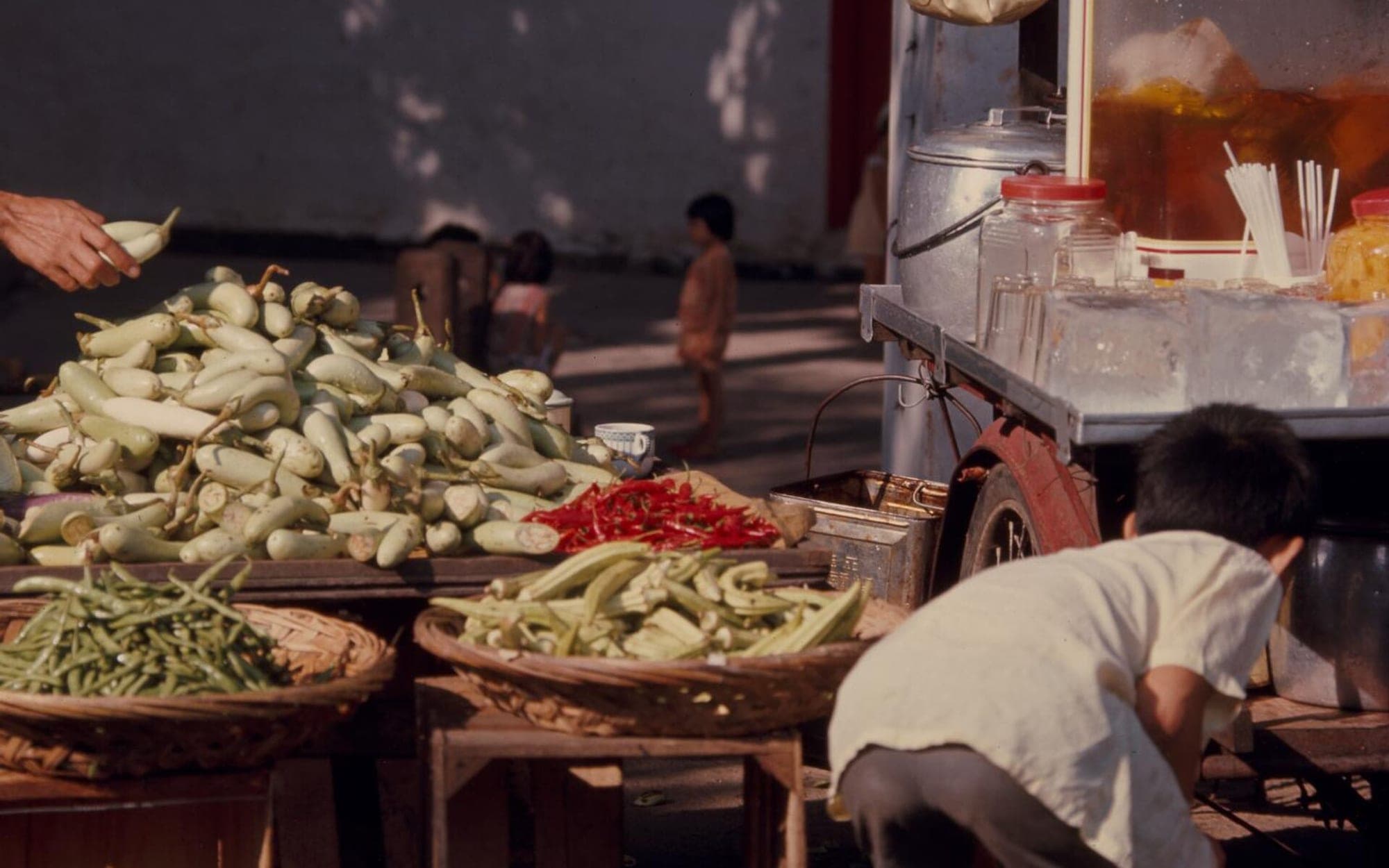 Fresh vegetables arranged after picking